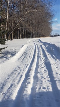 Groomed_Ski_Trail