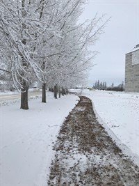Walking_Trail-Winter