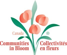 communities-in-bloom-logo_Web(2)