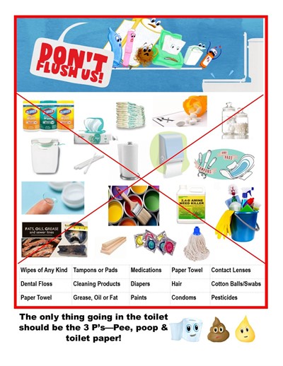 do-not-flush-poster(1)