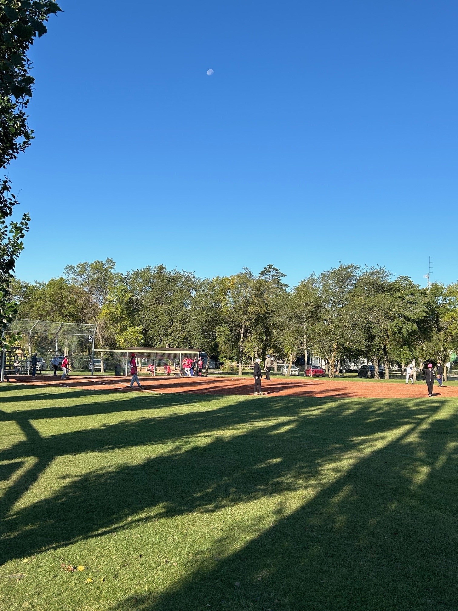 Harvest Festival Field
